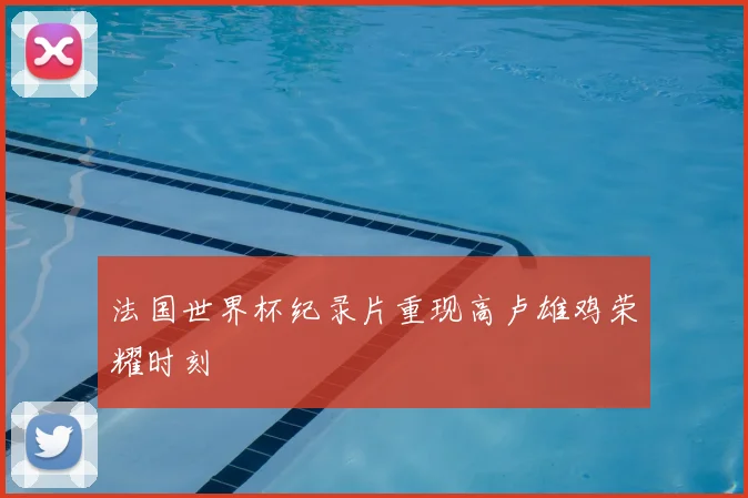 法国世界杯纪录片重现高卢雄鸡荣耀时刻